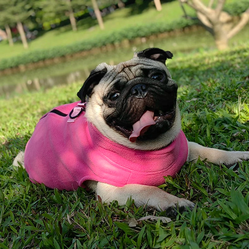 Fleece Dog Clothes For Small Medium Dogs