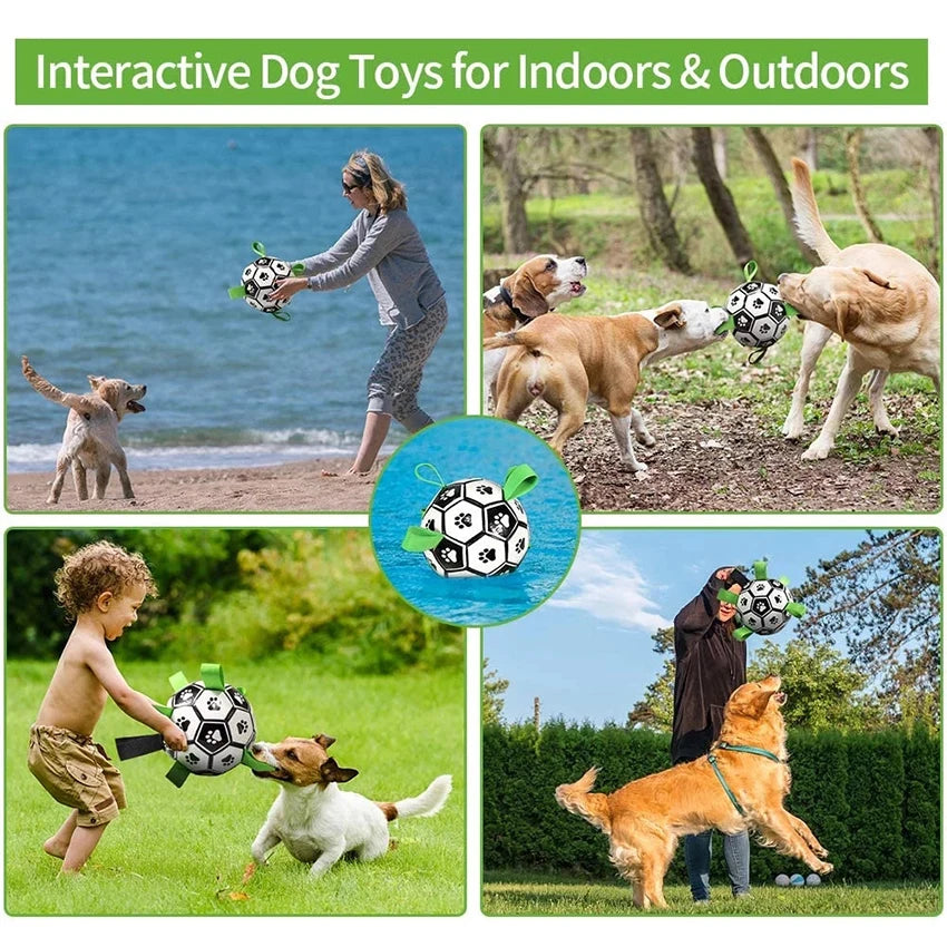 Interactive Dog Football Toys