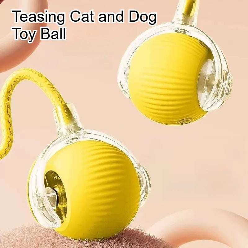 Dog and cat toy ball with rope