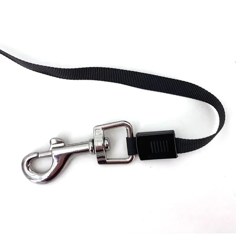 3M/5M Retractable Automatic Dog Leash
