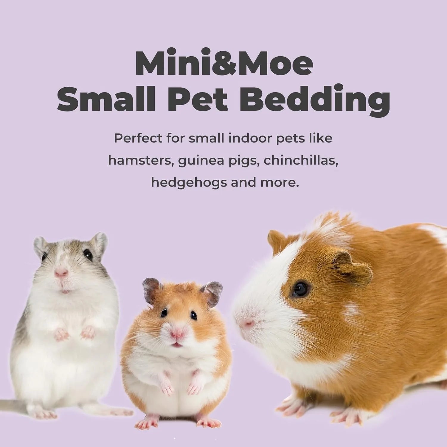 Small Pet Bedding  Absorbent Natural Shavings Bedding