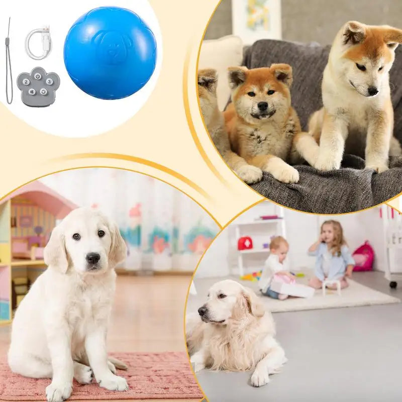 Electric Dog Ball With Sounds And Lights