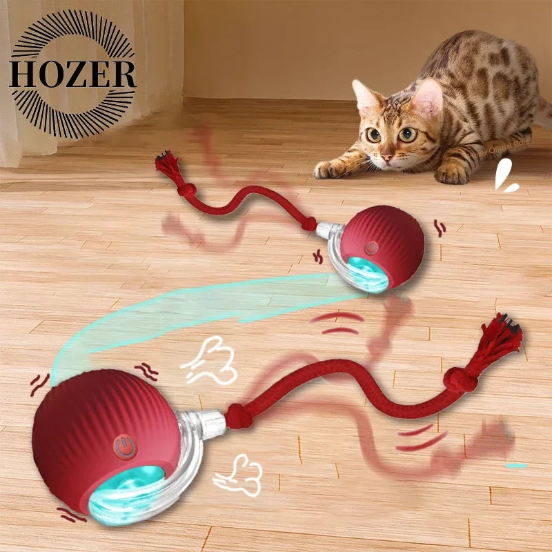 2Pcs Cat Interactive Ball
