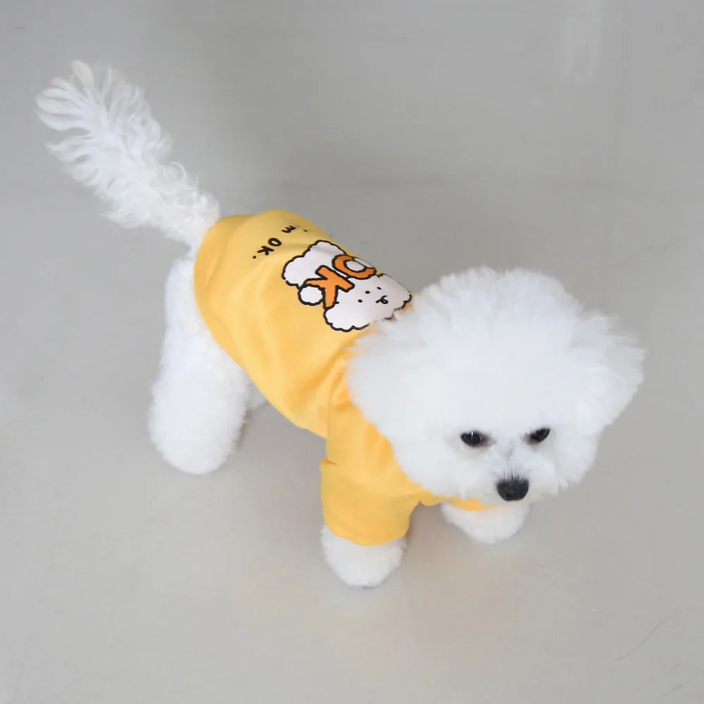 Cat and dog clothes for autumn and winter