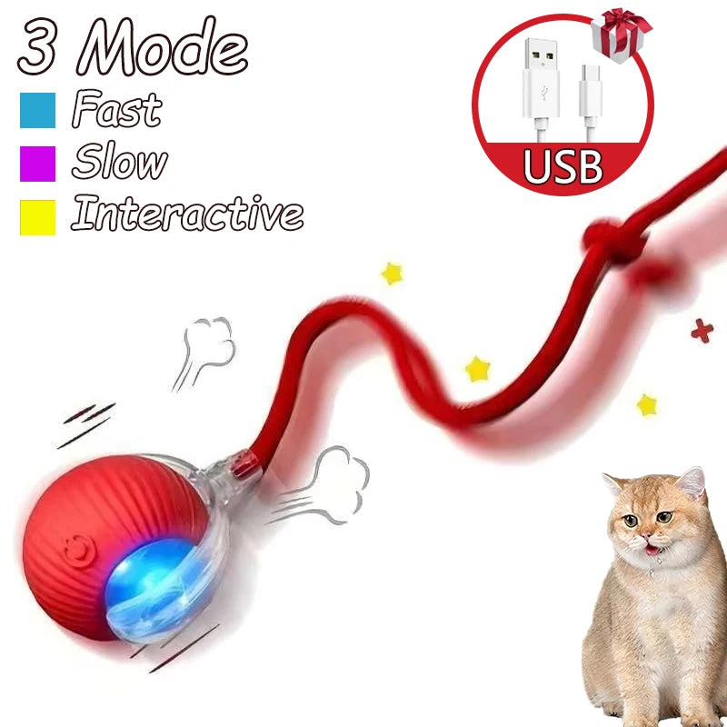 2Pcs Cat Interactive Ball