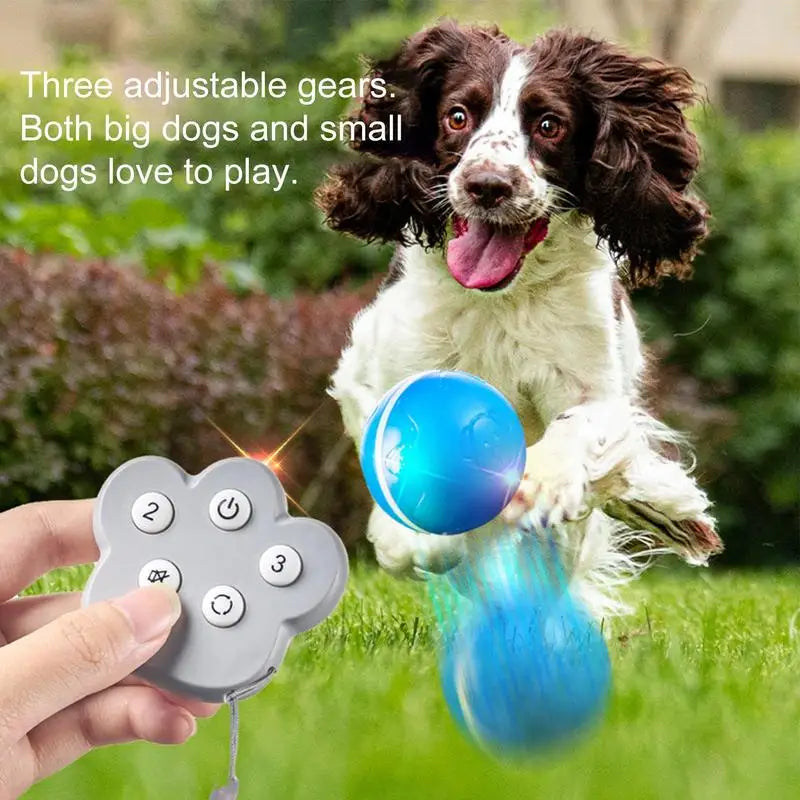 Electric Dog Ball With Sounds And Lights