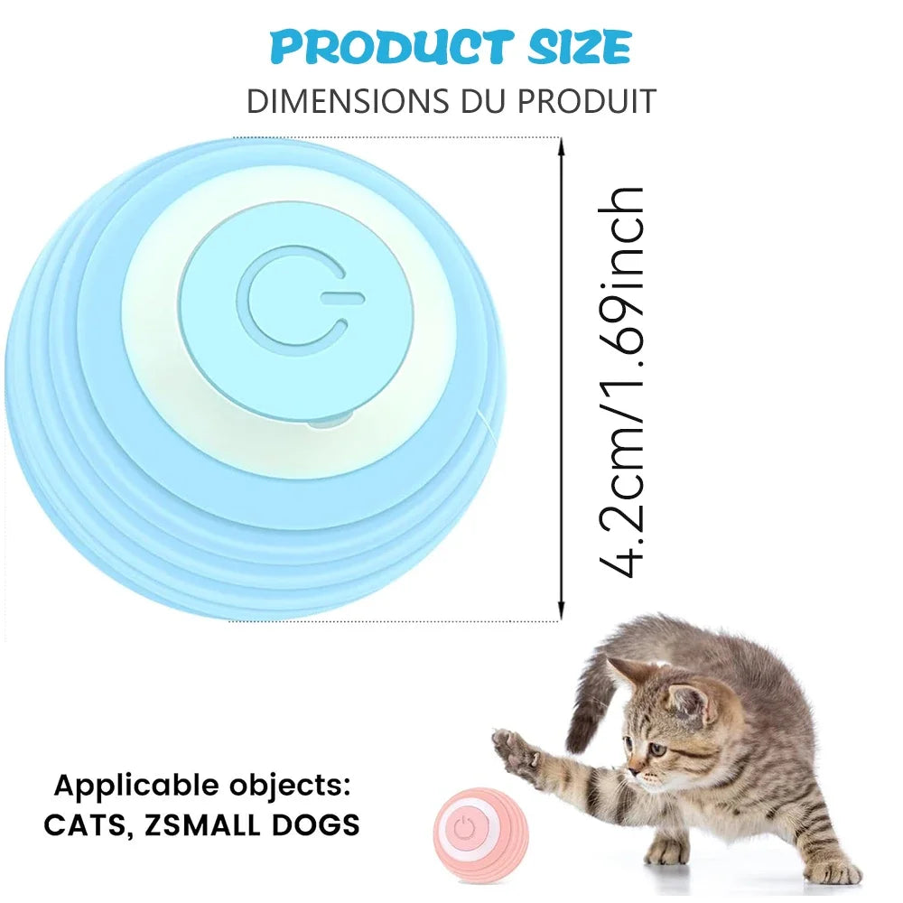 Cat Interactive Indoor Smart Ball