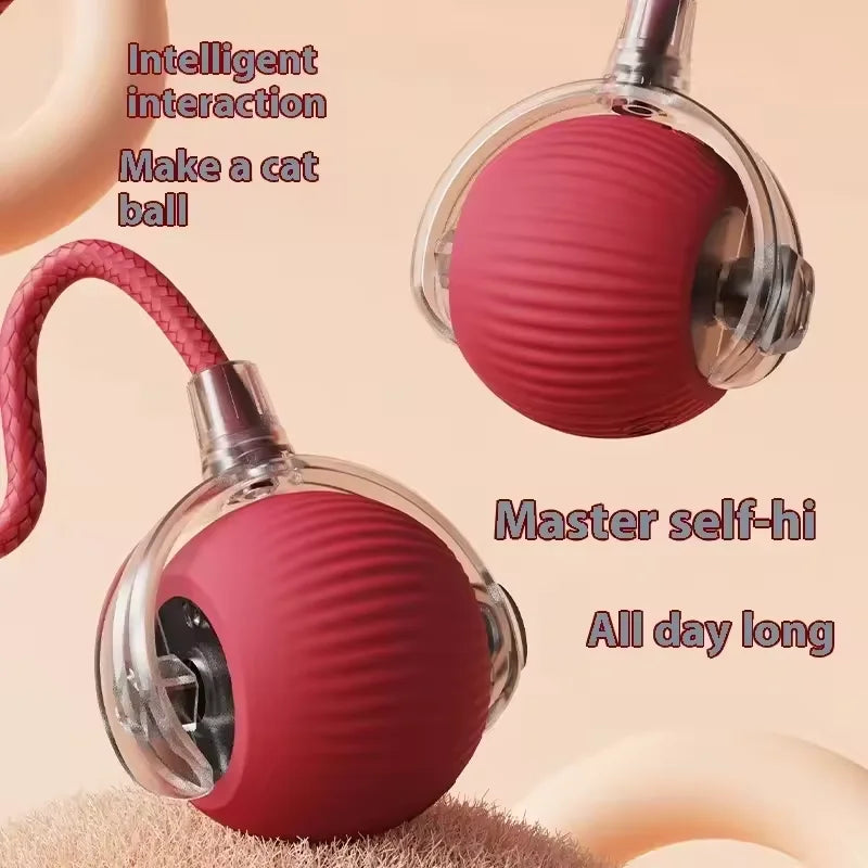 Dog and cat  ball with rope