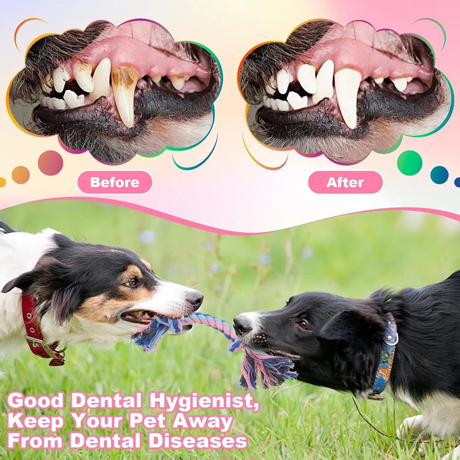 Durable Cotton Rope Braided Dog Chew Toy