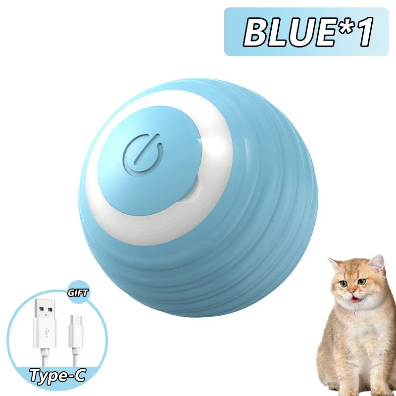 Cat Interactive Indoor Smart Ball