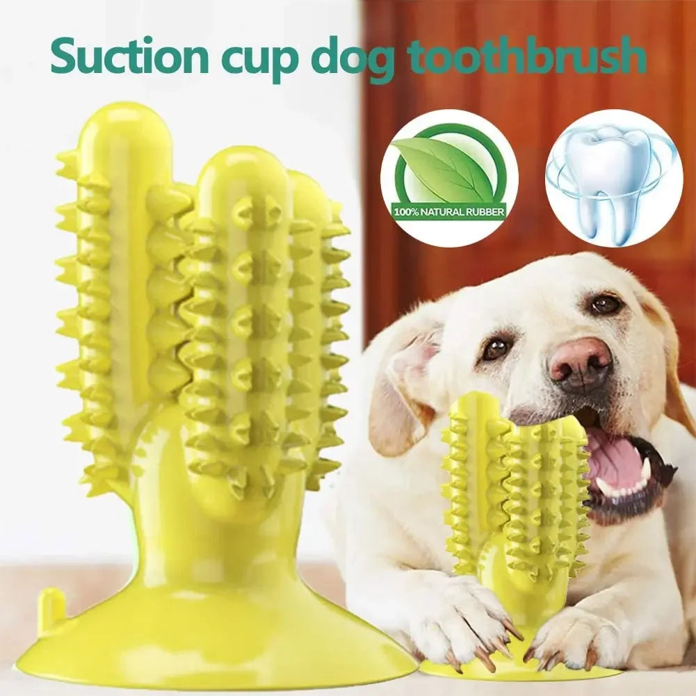 New Dog Toothbrush Toys