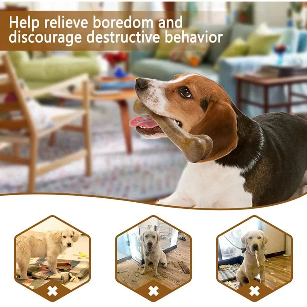 Dog Bone Dental Chew Toys