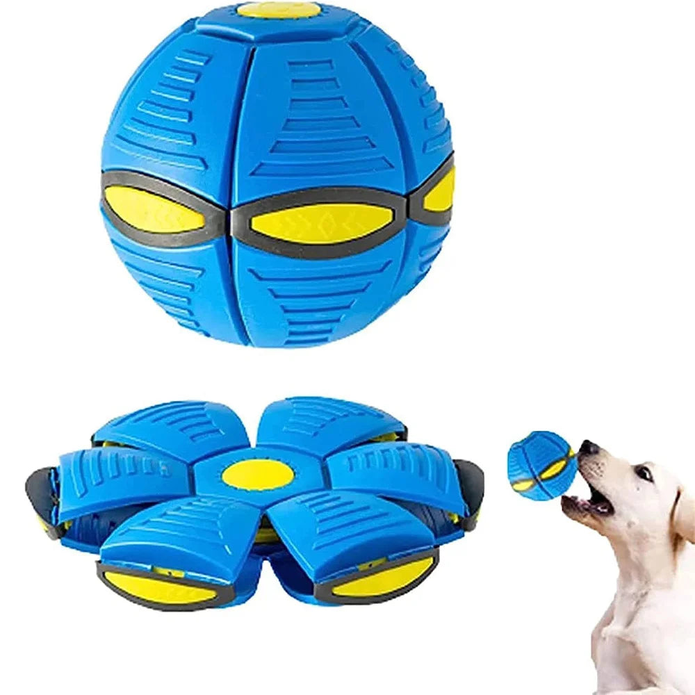 Indestructible Flying Saucer for Aggressive Dog Chewers