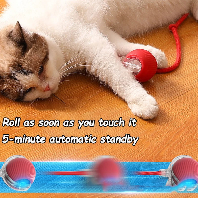 2Pcs Cat Interactive Ball