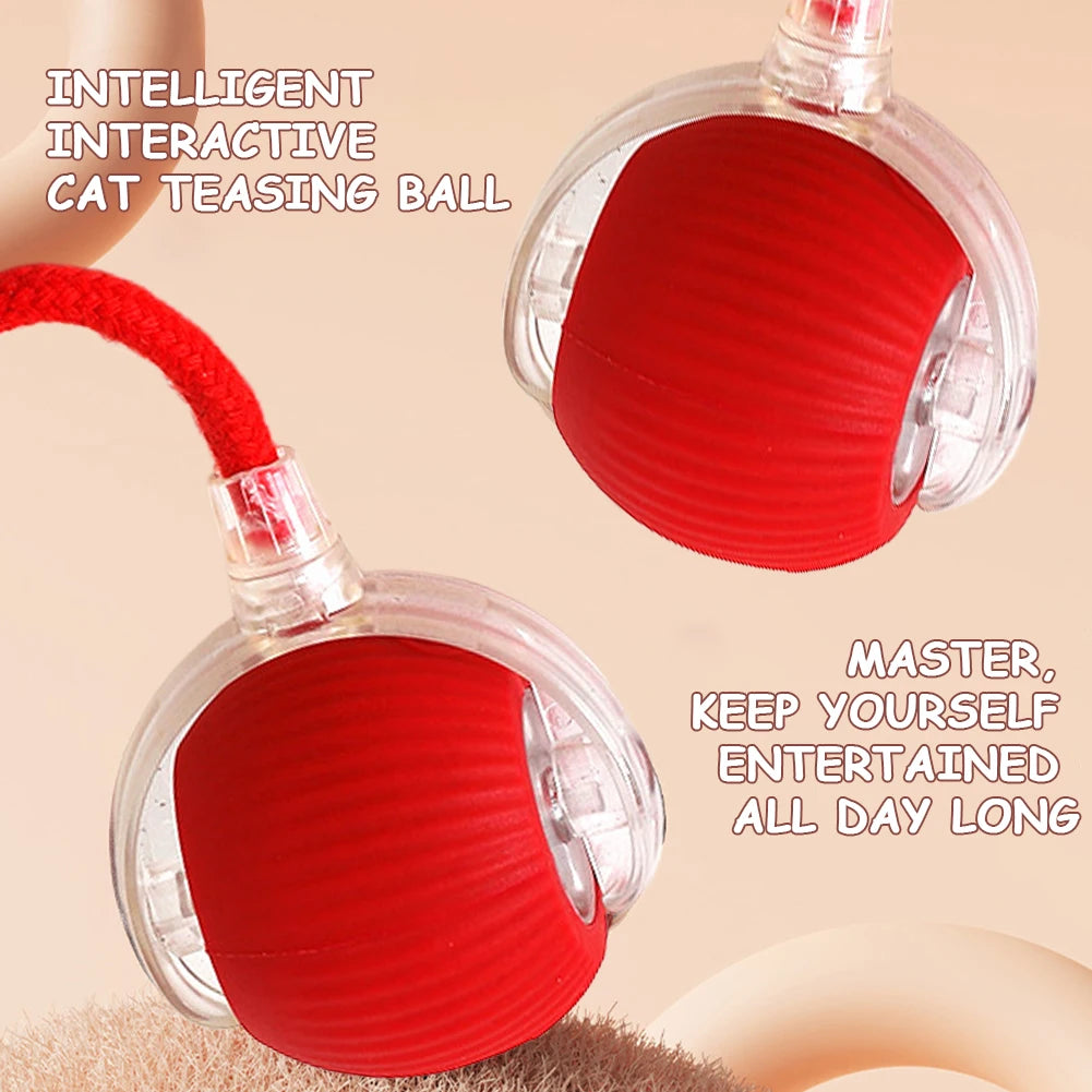 2PC/1PC Cat Interactive Ball