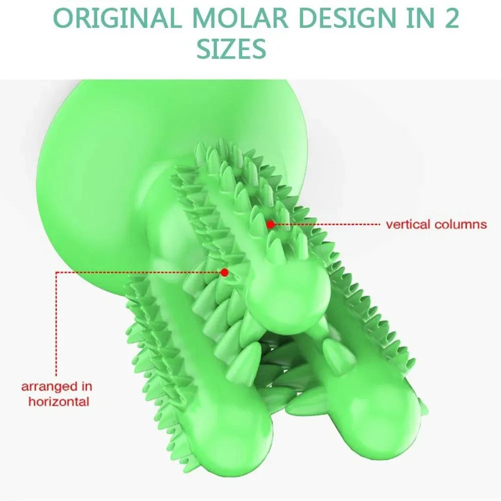New Dog Toothbrush Toys