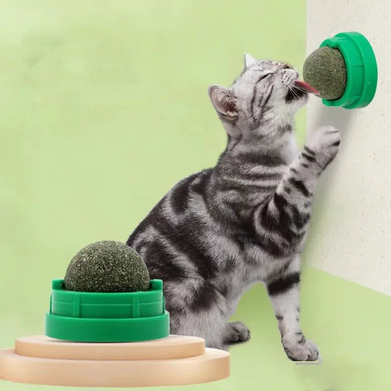 Catnip Cat Wall Stick-on Ball Toy Scratchers