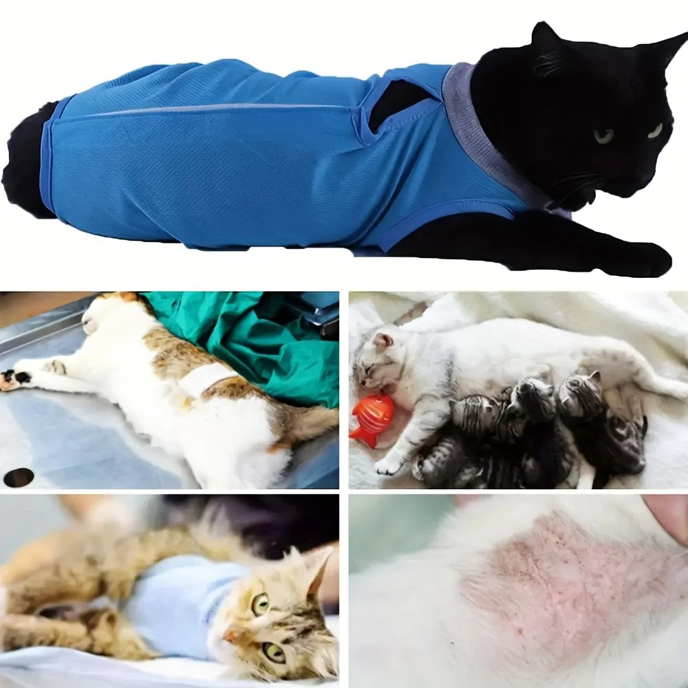 Cat Anti-licking Sterilization Clothes