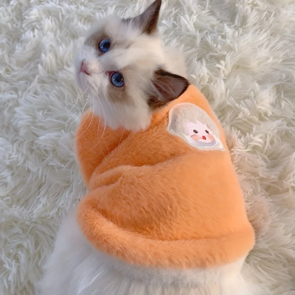 Warm Cat Clothes For Winter