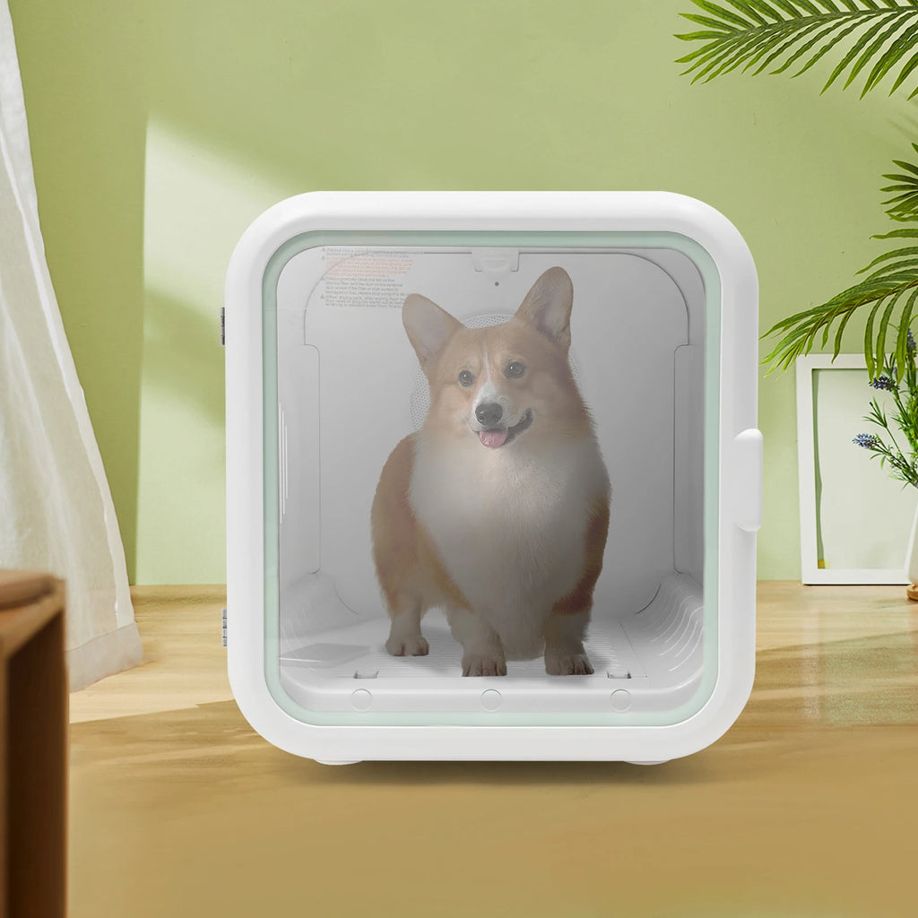 Cat & Dog Dryer Box Machine
