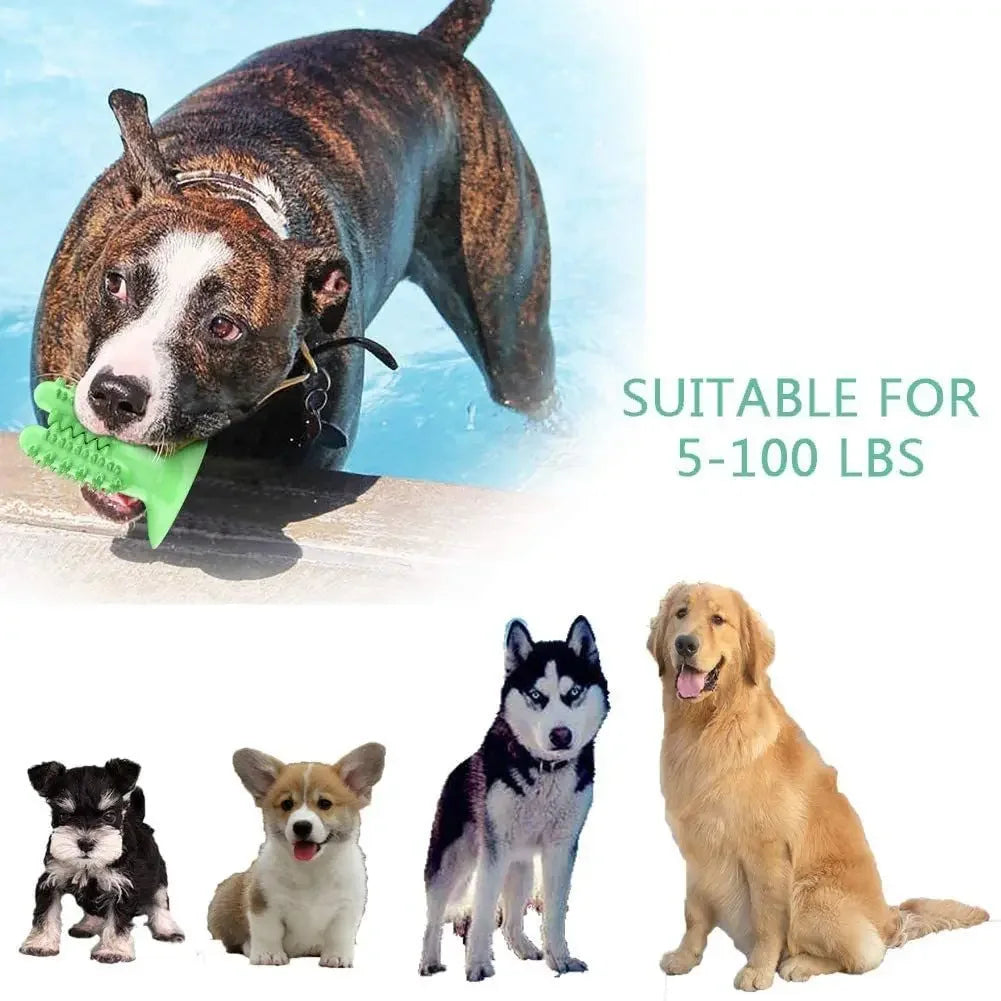 New Dog Toothbrush Toys