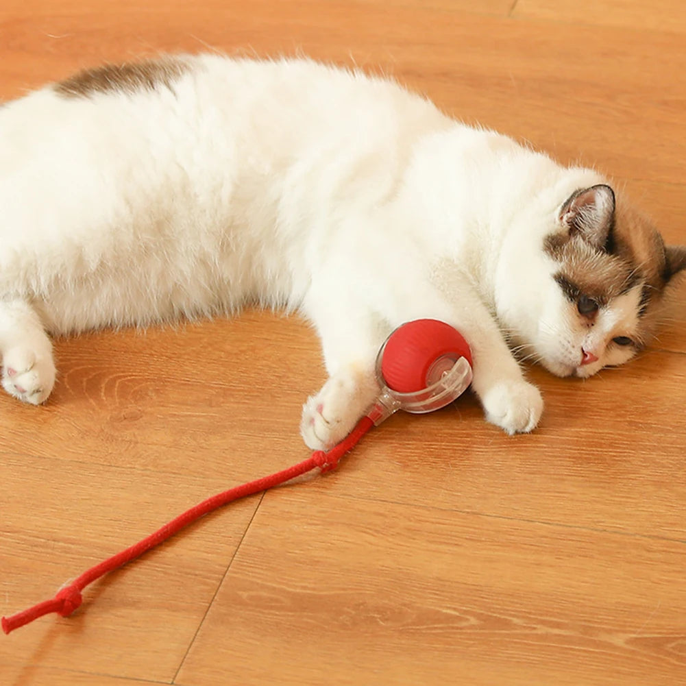 2PC/1PC Cat Interactive Ball