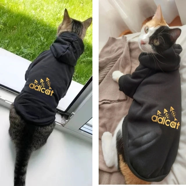 Fashion Cat Cool Clothes For Autumn Winter