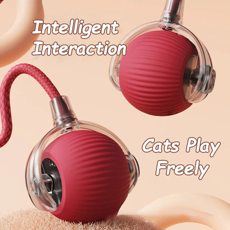 2Pcs Cat Interactive Ball