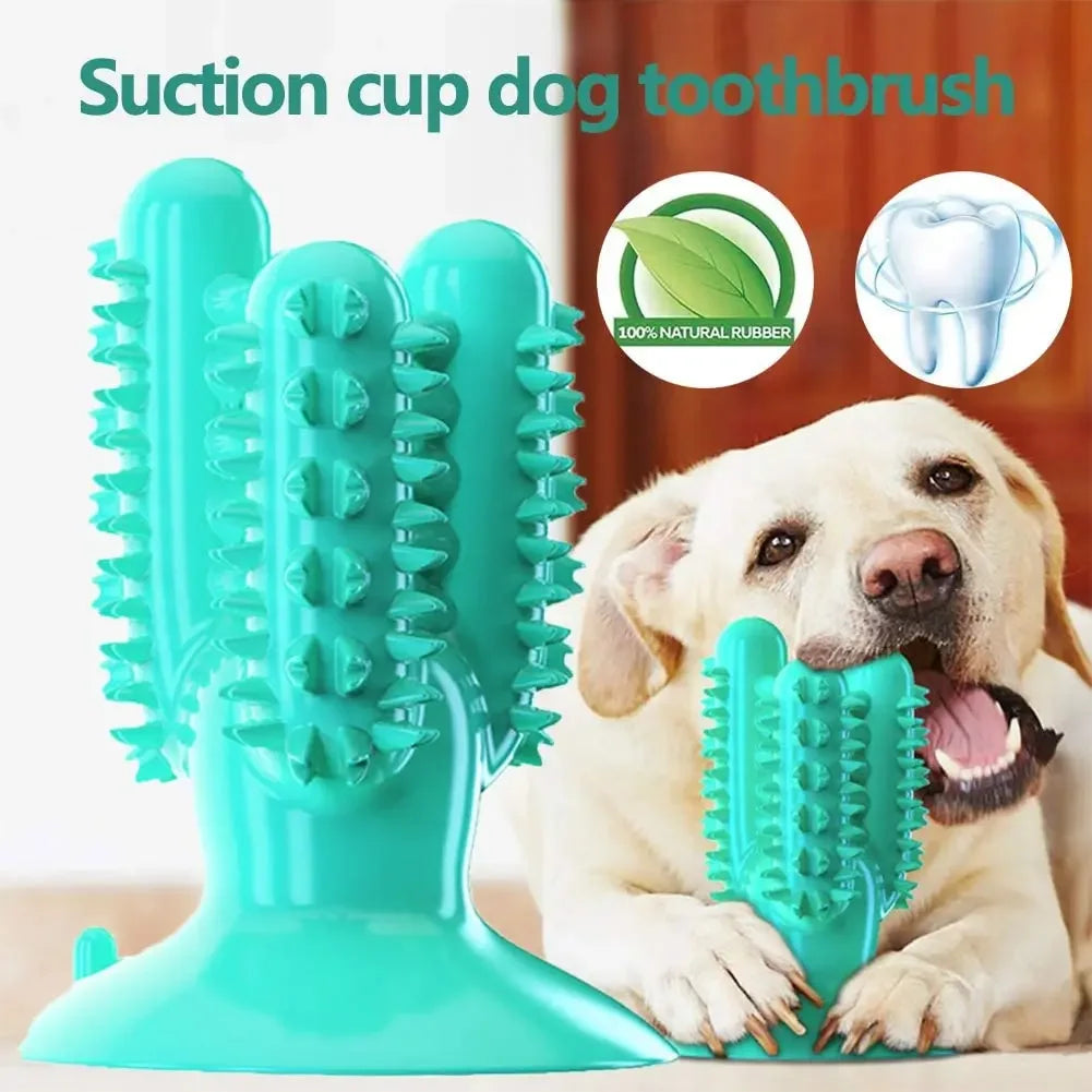 New Dog Toothbrush Toys