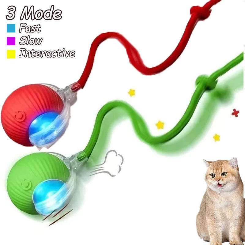2Pcs Cat Interactive Ball
