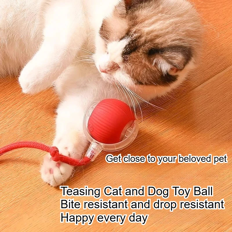 Dog and cat toy ball with rope