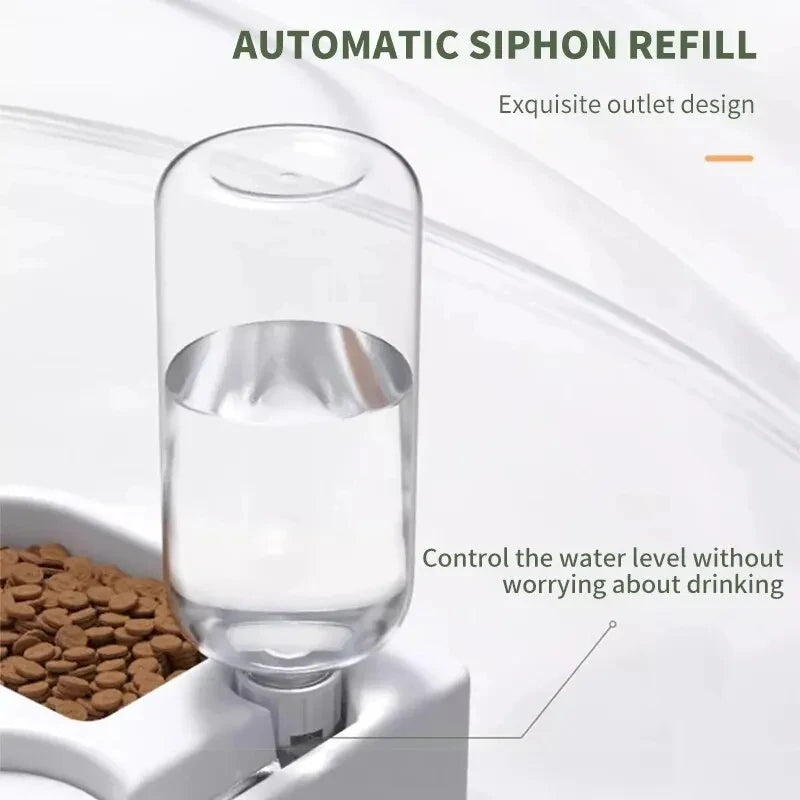 Automatic Drinking And Pet Bowl