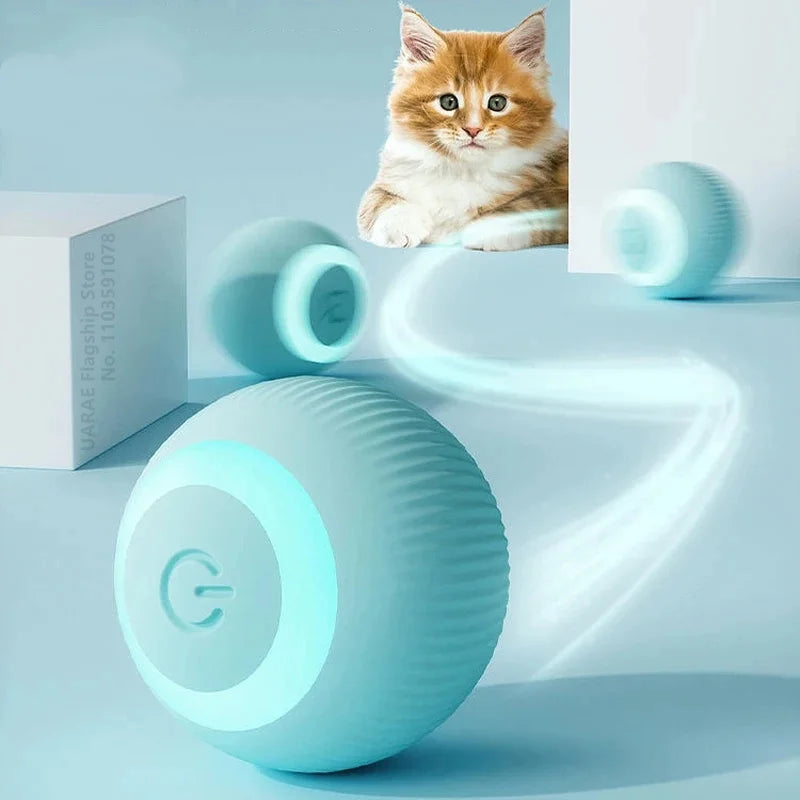 Cat Interactive Indoor Smart Ball