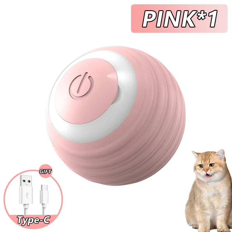 Cat Interactive Indoor Smart Ball