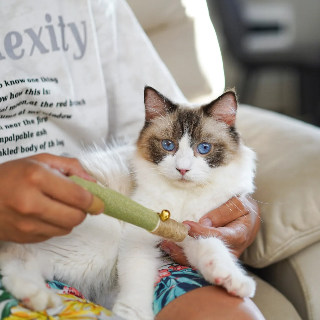 Cat Teeth Grinding Chewing Toy