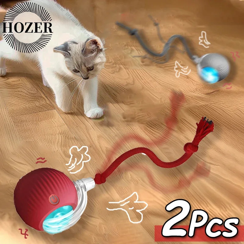 2Pcs Cat Interactive Ball