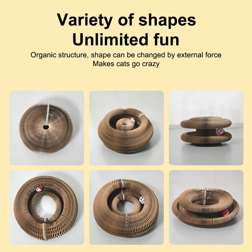 Magic Organ Cat Scratching Board