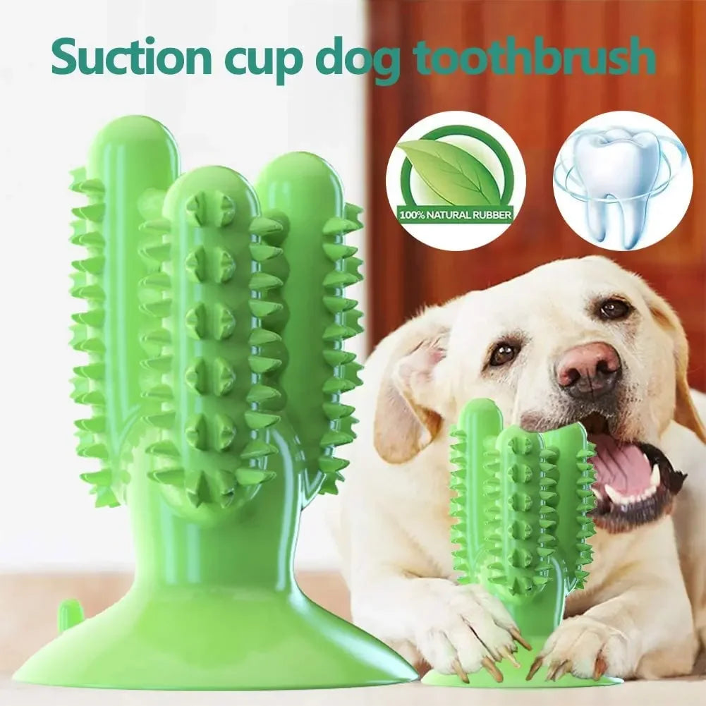 New Dog Toothbrush Toys