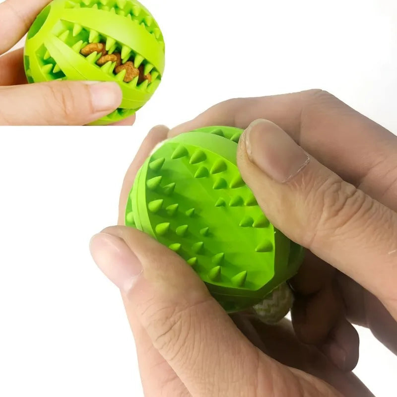 Interactive Dog Treat Ball