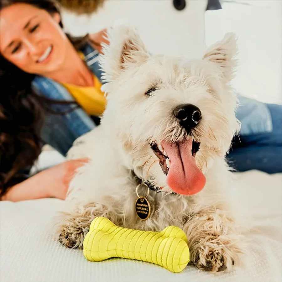 Dog Toys Rainbow Scent Chew Toy Gift Box for Dogs Dual Layer Bones with Peanut Butter Chicken Beef Scent Easy to Clean Non-Toxi