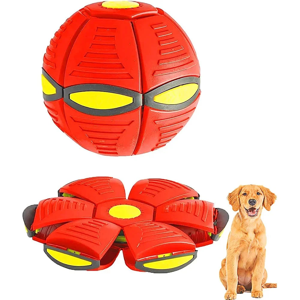 Indestructible Flying Saucer for Aggressive Dog Chewers