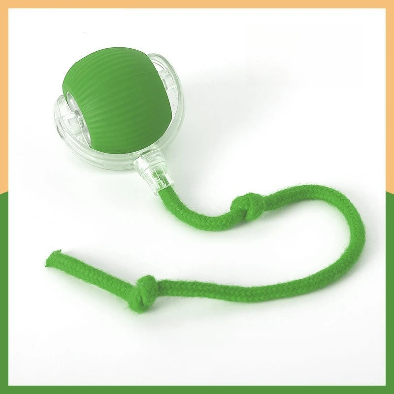 Dog and cat toy ball with rope