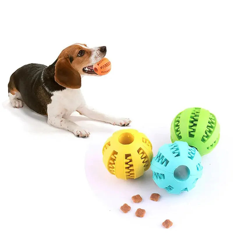 Nontoxic Bite Resistant Food Treat Feeder