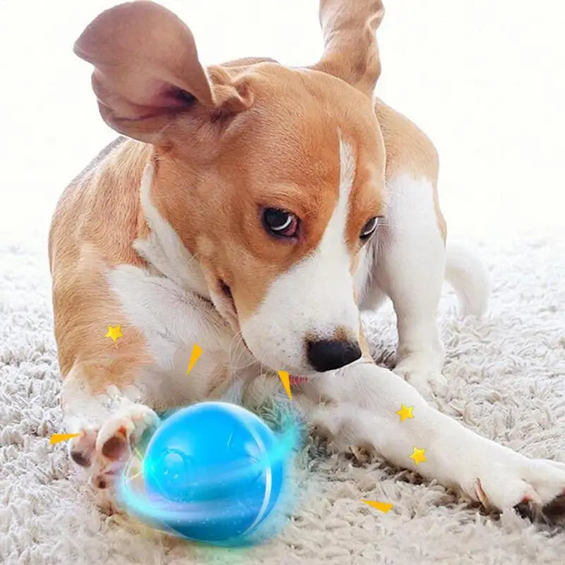 Electric Dog Ball With Sounds And Lights