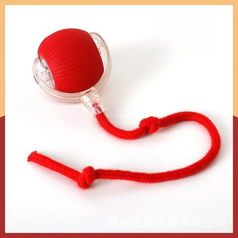Dog and cat toy ball with rope