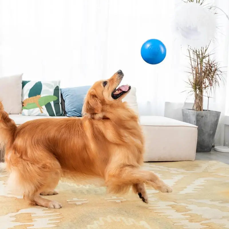 Electric Dog Ball With Sounds And Lights