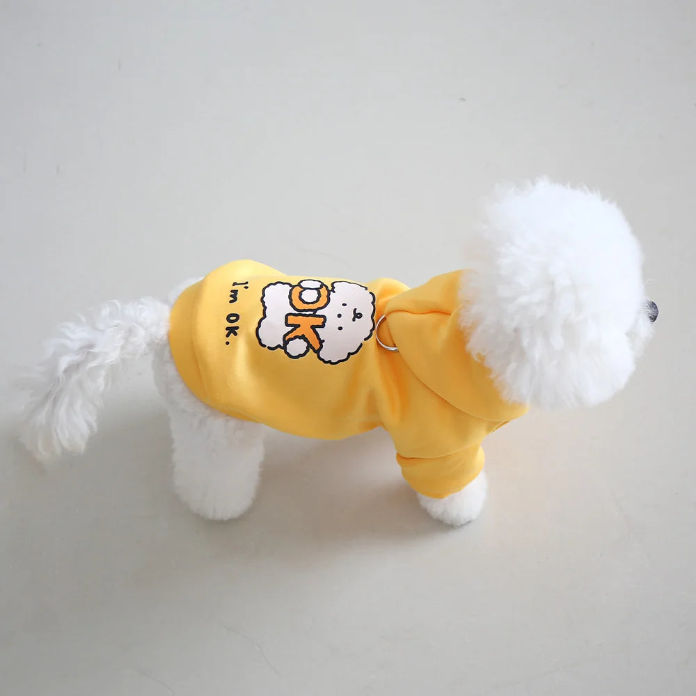 Cat and dog clothes for autumn and winter