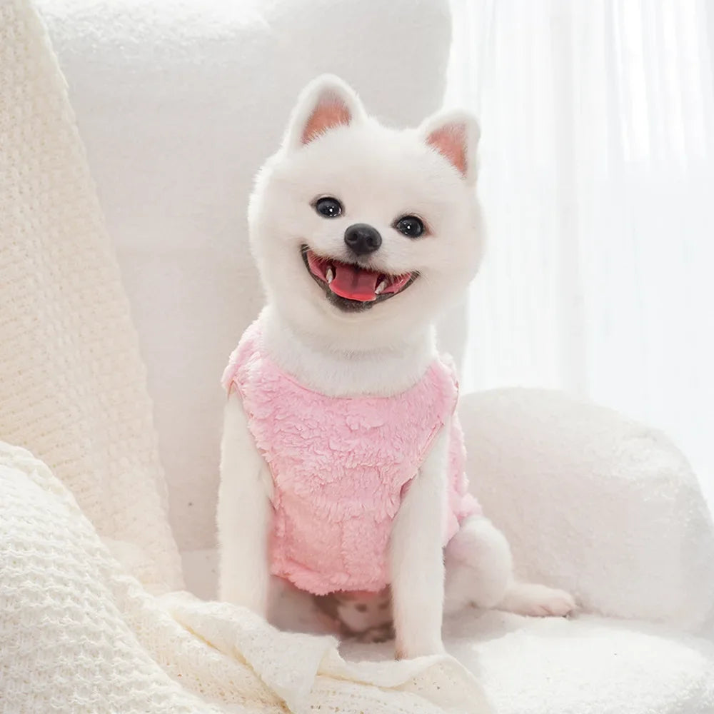 Warm  Winter Clothes For Small Dogs And Cats