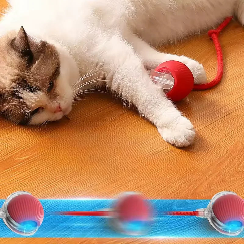 Dog and cat  ball with rope