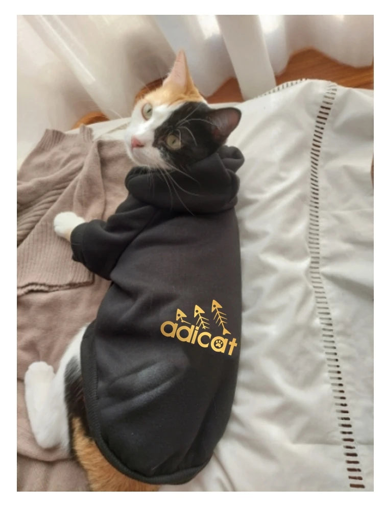 Fashion Cat Cool Clothes For Autumn Winter